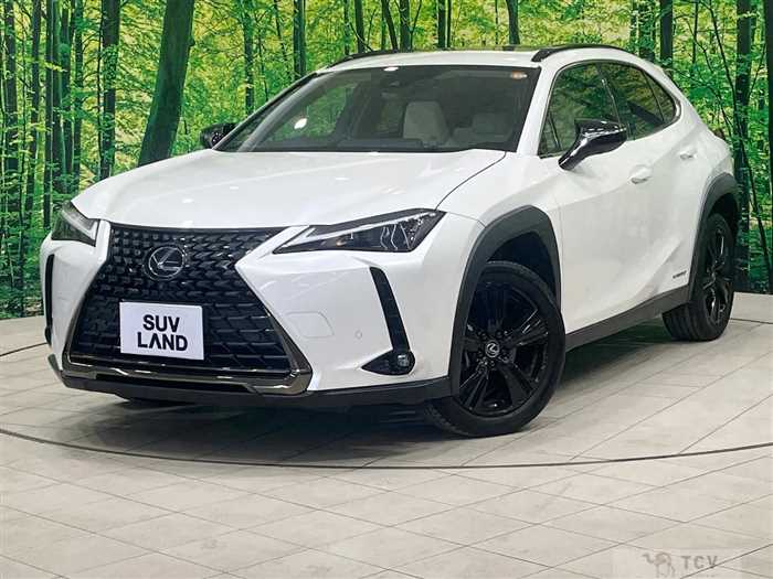 2021 Lexus Other