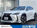 2019 Lexus Other