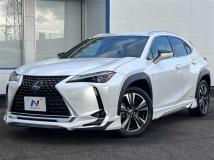 2019 Lexus Other