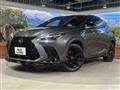 2024 Lexus NX