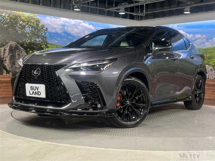 2024 Lexus NX