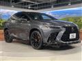 2024 Lexus NX