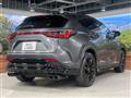 2024 Lexus NX