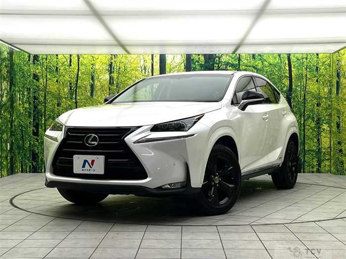 2017 Lexus NX