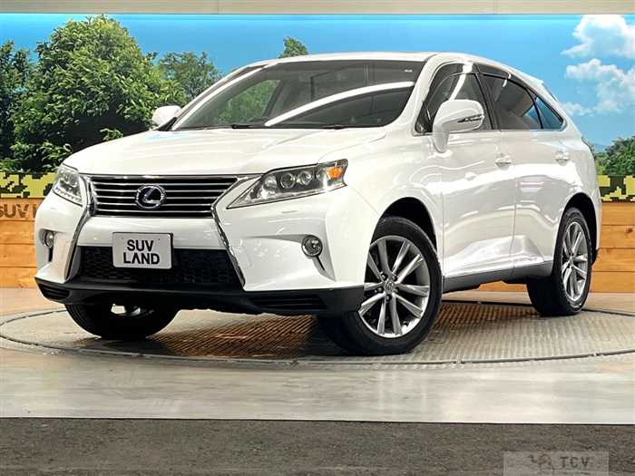 2013 Lexus RX