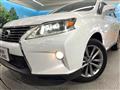 2013 Lexus RX
