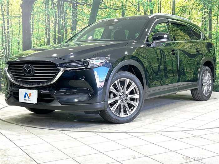 2019 Mazda CX-8