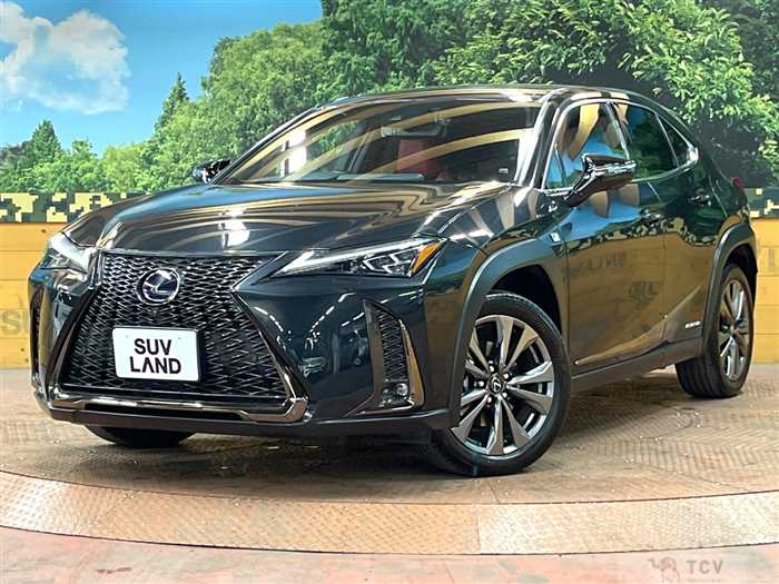 2021 Lexus Other