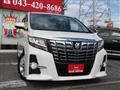 2015 Toyota Alphard G