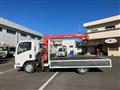 2010 Isuzu Isuzu Others