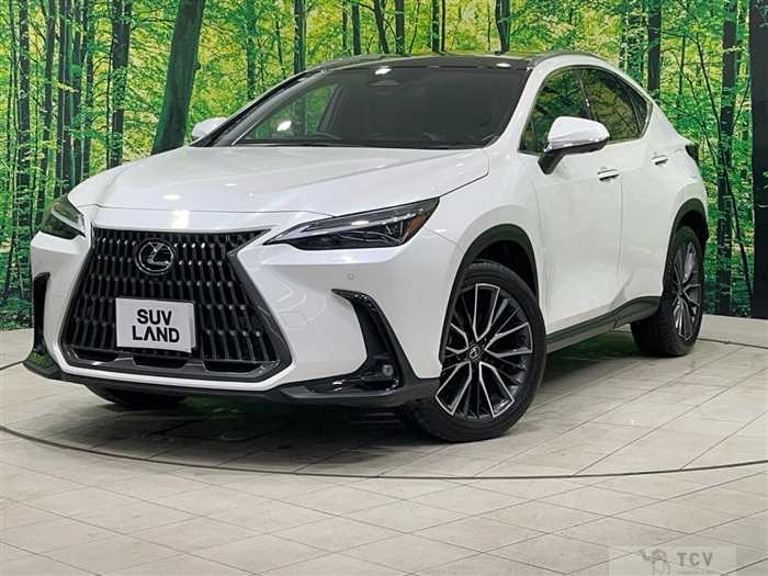 2023 Lexus NX