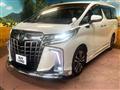 2020 Toyota Alphard