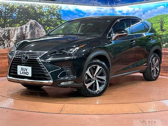 2018 Lexus NX