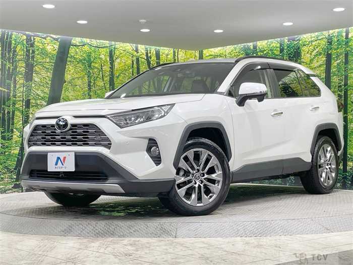 2019 Toyota RAV4