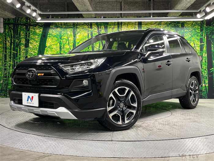 2019 Toyota RAV4