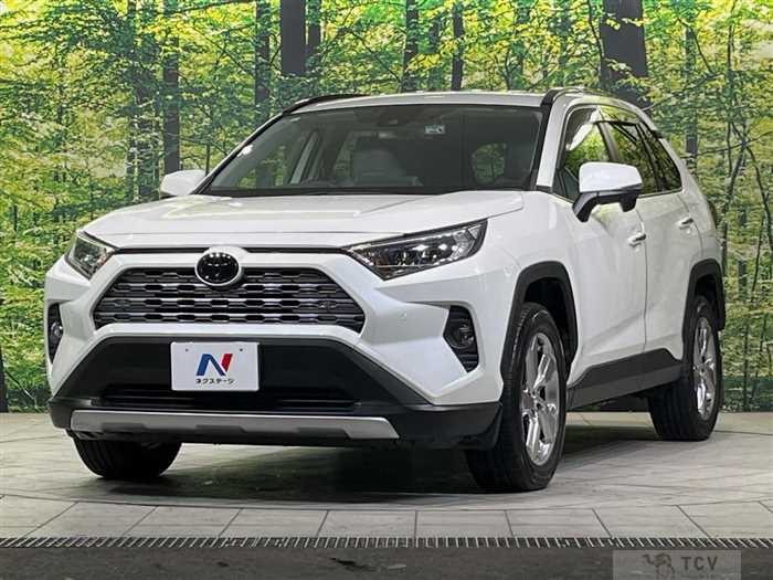 2019 Toyota RAV4