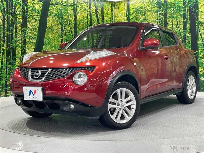 2014 Nissan Juke