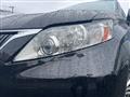 2010 Lexus RX