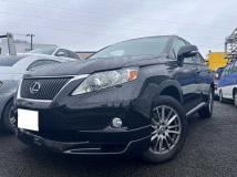 2010 Lexus RX