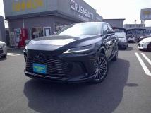 2024 Lexus RX