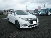 2020 Other All Other All