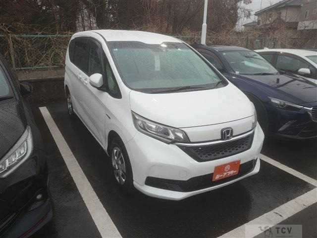 2020 Other All Other All