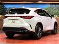 2022 Lexus NX
