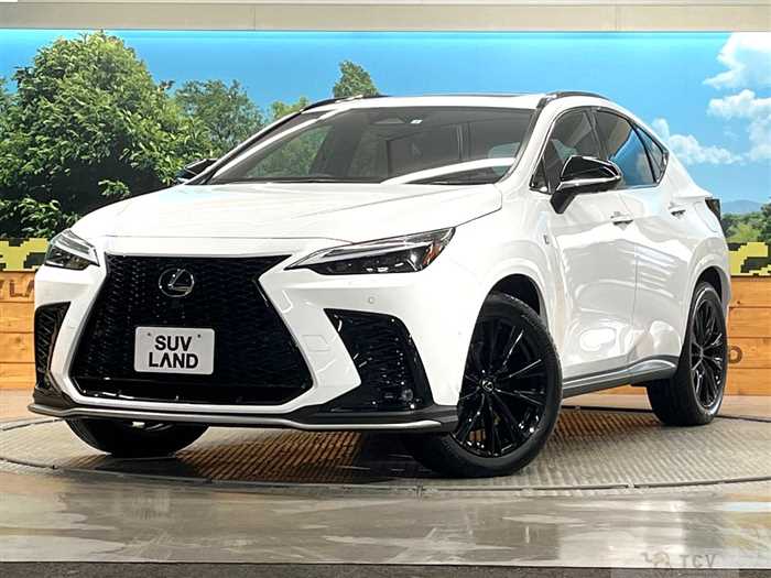 2023 Lexus NX