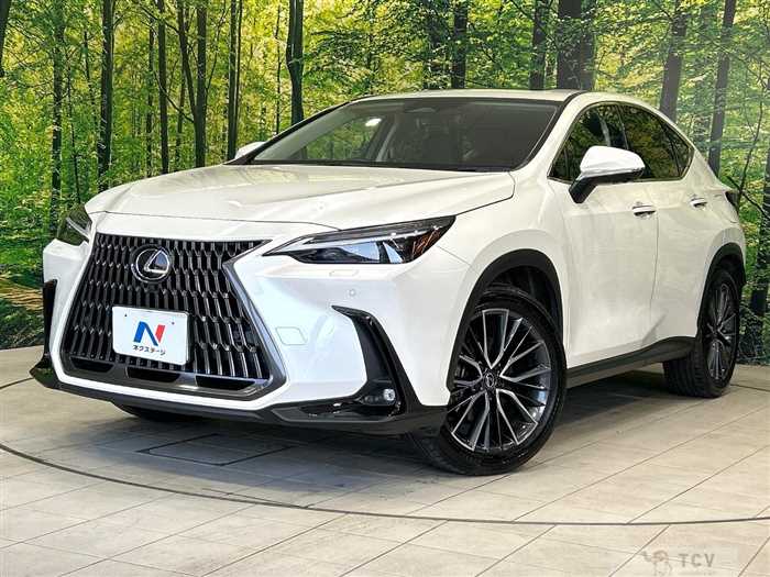 2023 Lexus NX