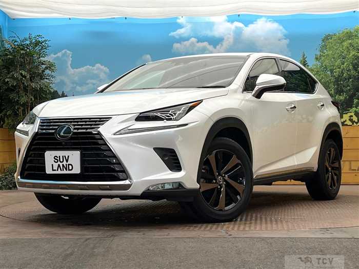 2019 Lexus NX