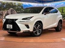 2019 Lexus NX
