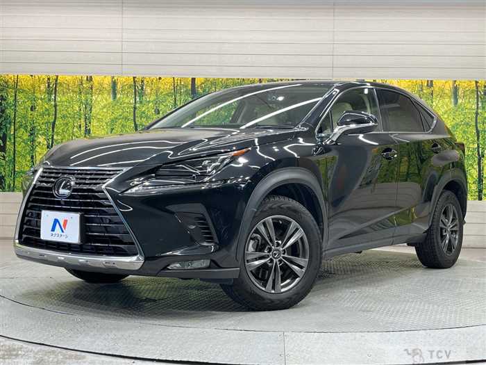2020 Lexus NX