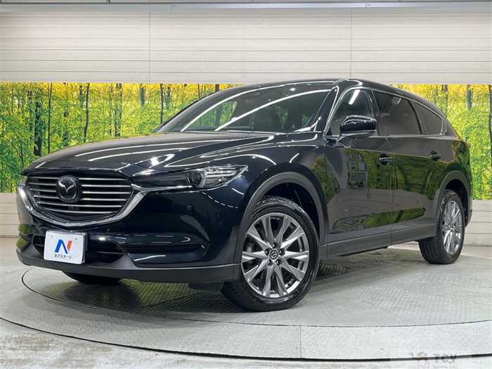 2019 Mazda CX-8