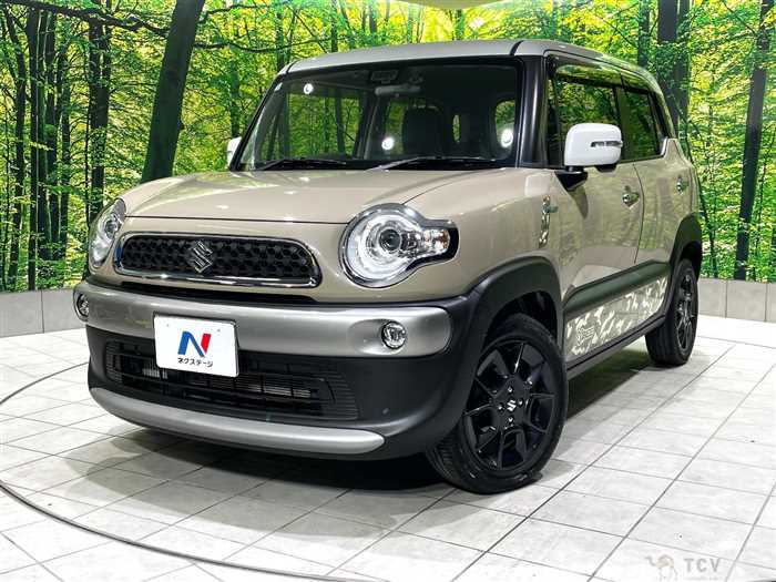 2019 Suzuki Suzuki Others