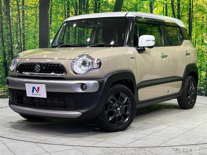 2019 Suzuki Suzuki Others