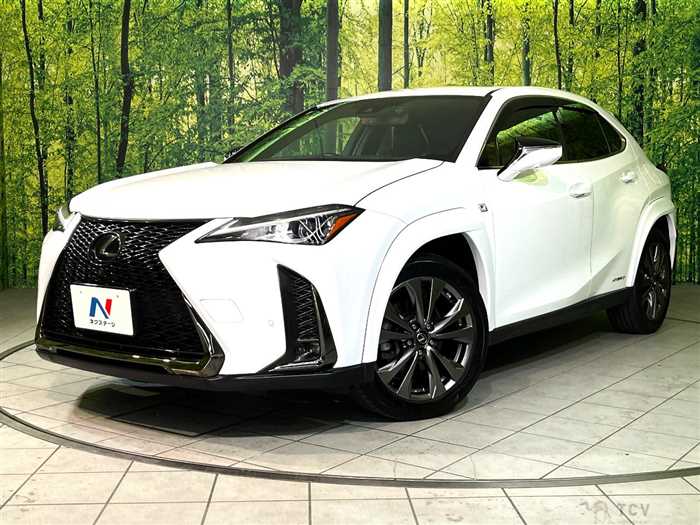 2019 Lexus Other