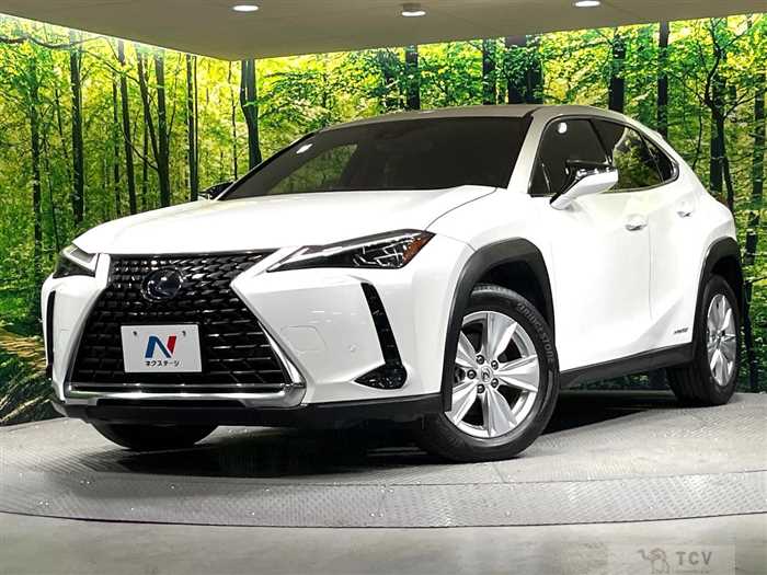 2021 Lexus Other