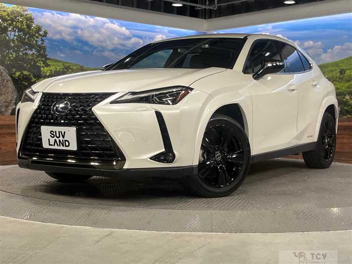 2021 Lexus Other