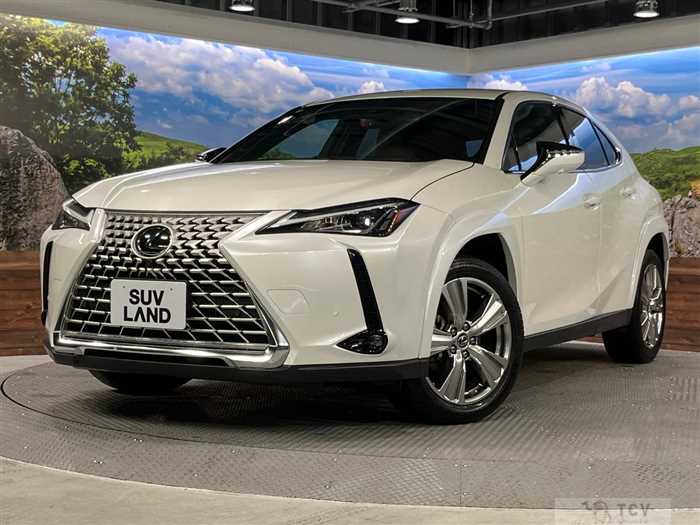 2023 Lexus Other