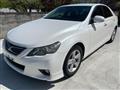 2010 Toyota Mark X