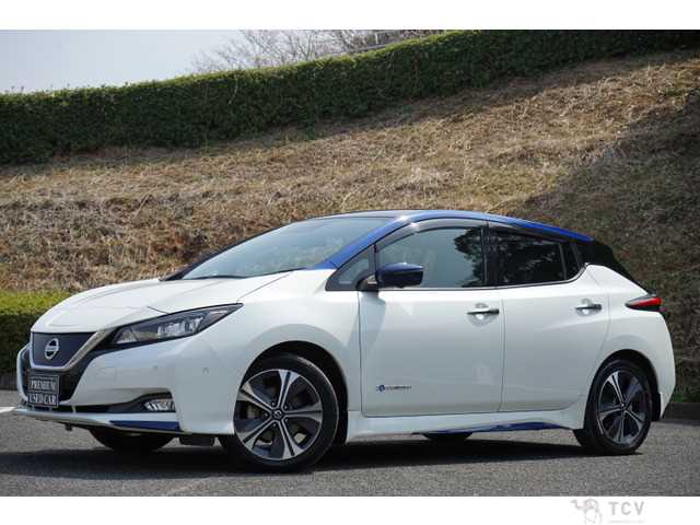 2019 Nissan Nissan Others