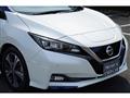 2019 Nissan Nissan Others