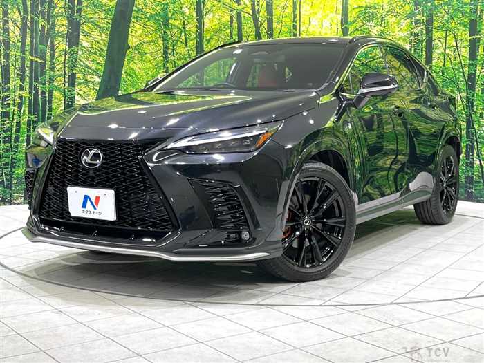 2023 Lexus NX