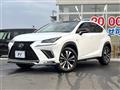 2018 Lexus NX