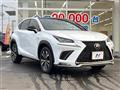 2018 Lexus NX