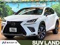 2018 Lexus NX