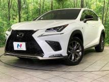 2019 Lexus NX
