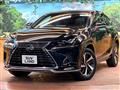 2021 Lexus NX