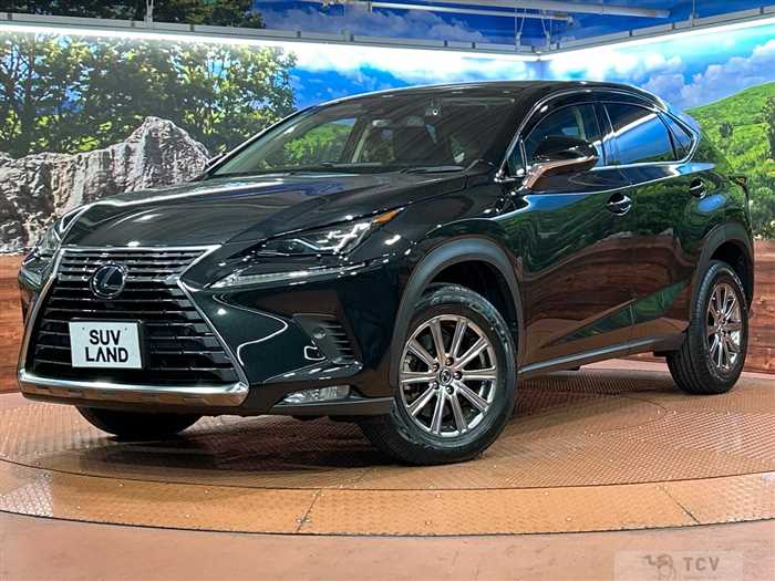 2021 Lexus NX