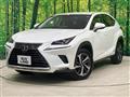 2018 Lexus NX
